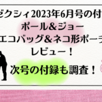 ゼクシィ2023年6月号付録　ポール＆ジョー