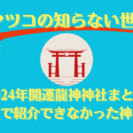 【マツコの知らない世界】2024年開運龍神神社まとめ！番組で紹介できなかった神社も！